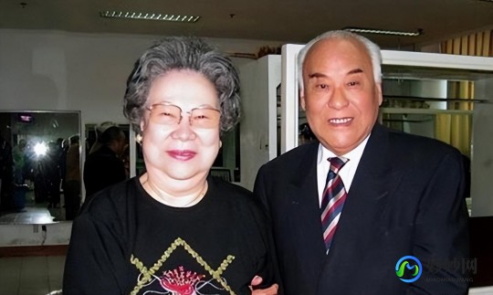 飞行棋大战,飞行棋大战手游攻略,翱翔天际,智取胜利!