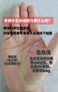 生命线,生命线手游攻略,精准,决胜千里