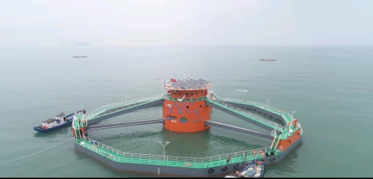 qq空间牧场,qq牧场怎么玩,QQ牧场游戏攻略,养殖、互动与乐趣无穷