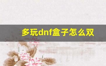 地下城与勇士双开,多玩DNF盒子双开攻略,轻松实现游戏效率翻倍