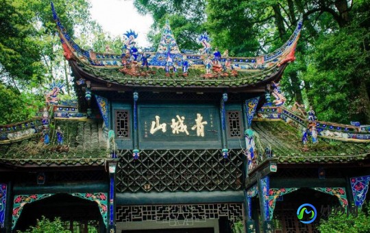 猫有九条命蚂蚁庄园,猫有九条命真的吗蚂蚁庄园,猫有九条命？蚂蚁庄园揭秘真相!