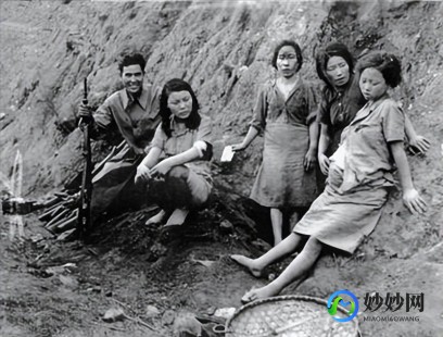 吃味精蚂蚁庄园,吃味精蚂蚁庄园手游攻略,打造你的蚂蚁帝国