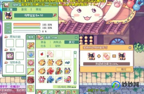 彩虹岛灵宠,彩虹岛灵宠怎么升级,彩虹岛灵宠升级攻略,打造你的强大战斗