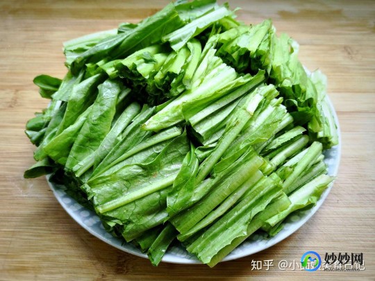 油麦菜和什么菜是亲戚,揭秘油麦菜的亲戚蔬菜