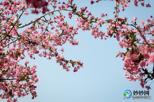 劲舞公开号,劲舞团公开号,劲舞团手游攻略,打造你的舞蹈帝国